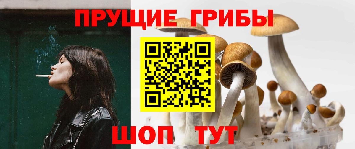 Нефтеюганск  Псилоцибиновые грибы Psilocybe  Вход с VPN  Псилоцибиновые грибы Cubensis 